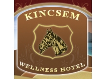 Kincsem Wellness Hotel