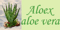 Aloe vera az Aloextl